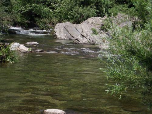 Bed & Breakfast Le Mas Des Sources Cevenol Chambon