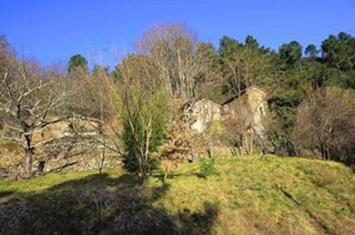 Bed & Breakfast Le Mas Des Sources Cevenol Chambon