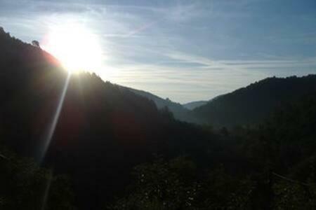 Bed & Breakfast Le Mas Des Sources Cevenol Chambon