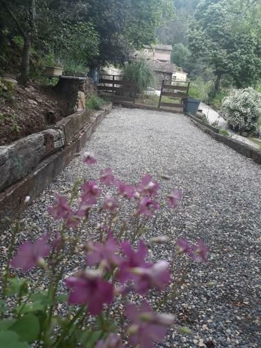 Bed & Breakfast Le Mas Des Sources Cevenol Chambon