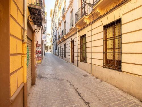 Spacious Apartment In Granada Near The Centre