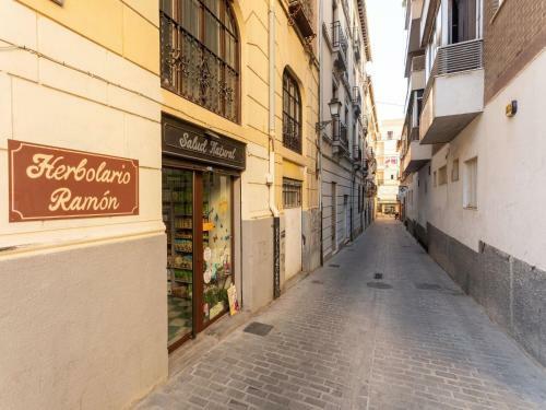 Spacious Apartment In Granada Near The Centre