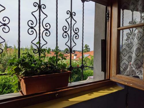 Bed & Breakfast Nel Giardino Di Oz