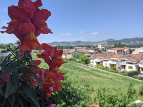 Bed & Breakfast Nel Giardino Di Oz