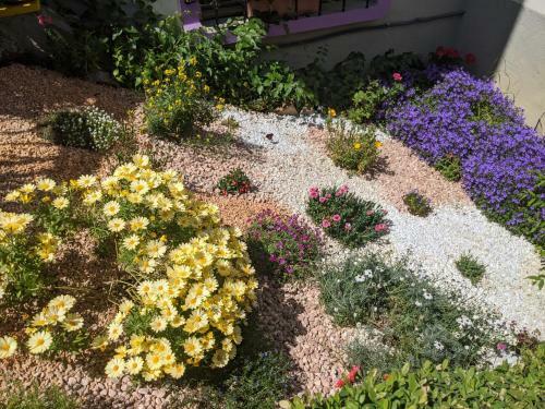 Bed & Breakfast Nel Giardino Di Oz