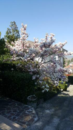 Bed & Breakfast Nel Giardino Di Oz