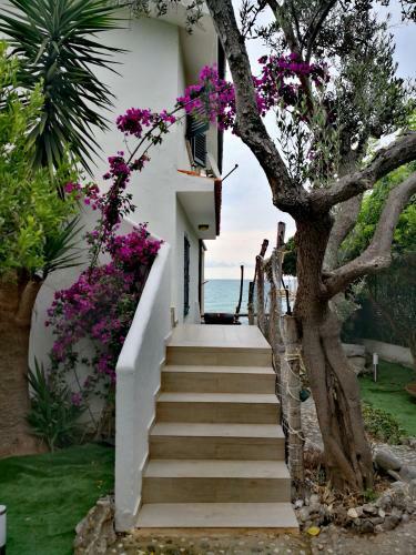Casa Di Venere - Fossacesia