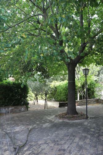 Apartamento Appartamenti Nel Borgo