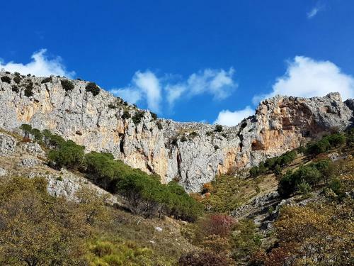 Bed & Breakfast Il Vicoletto