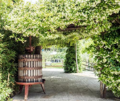 Agroturismo Villa De Luccheri