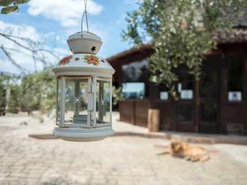 Agroturismo Villa De Luccheri