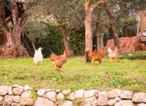 Agroturismo Villa De Luccheri