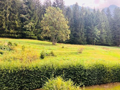 Apartamento Appartement Duplex Chamonix