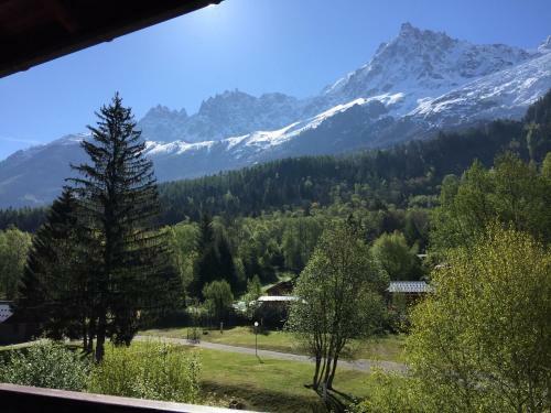Apartamento Appartement Face Au Mont Blanc & Glaciers
