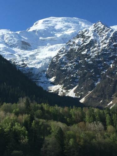 Apartamento Appartement Face Au Mont Blanc & Glaciers