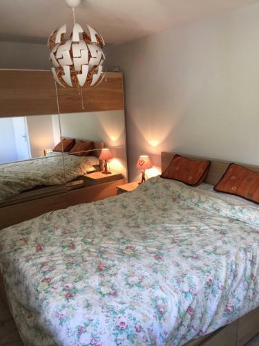 Apartamento Appartement Face Au Mont Blanc & Glaciers