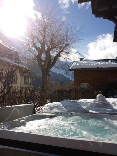 Chalet Clos 66