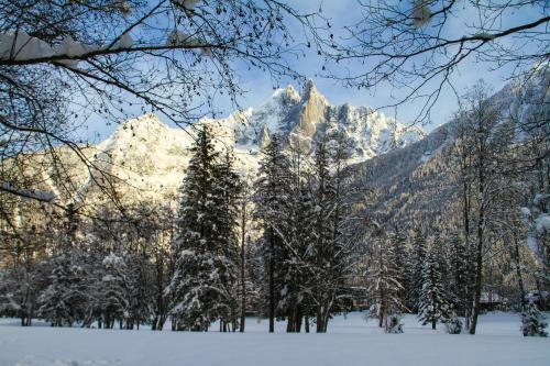 Apartment Maya, La Praz, Chamonix Mont Blanc