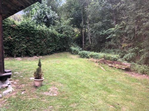 Petit Chalet Montagnard Cosy !