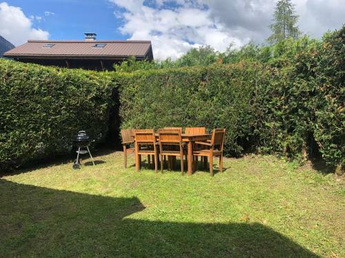 Petit Chalet Montagnard Cosy !