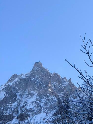 Petit Chalet Montagnard Cosy !
