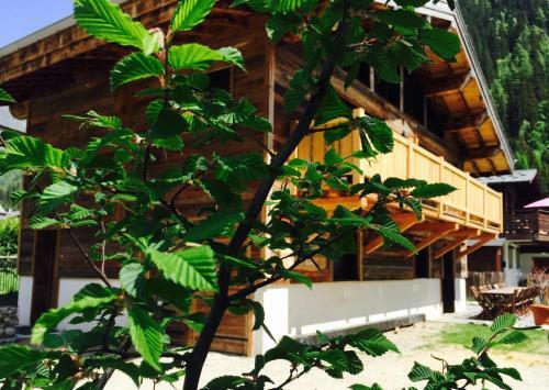 Chalet Le Petit Nicolas, Jacuzzi, Vue Mont Blanc