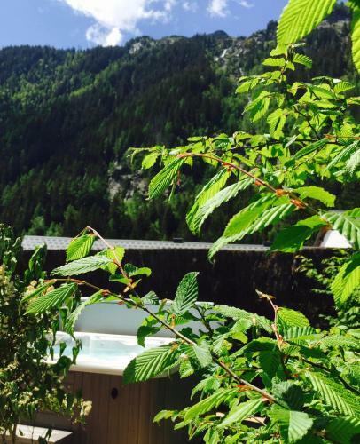 Chalet Le Petit Nicolas, Jacuzzi, Vue Mont Blanc