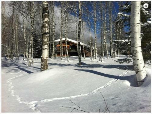 Apartamento Chalet Champraz Studio