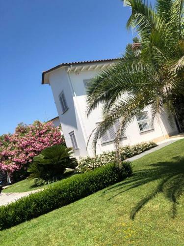 Forte Dei Marmi Villa