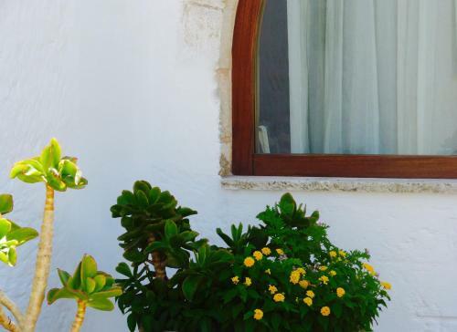 Agroturismo Masseria Palmo