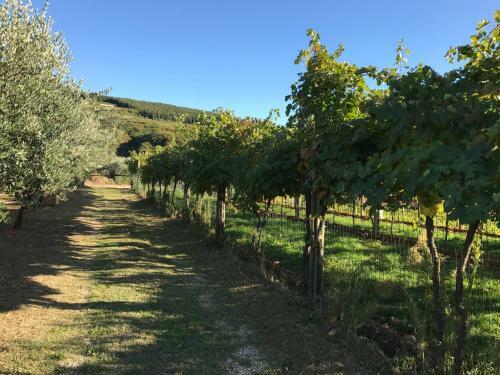 Apartamento Corte Lavarini The Magic At Sight