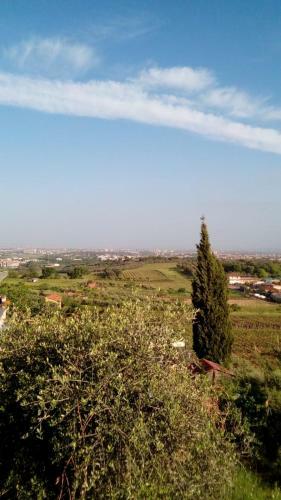 Agroturismo La Corte Di Nonno