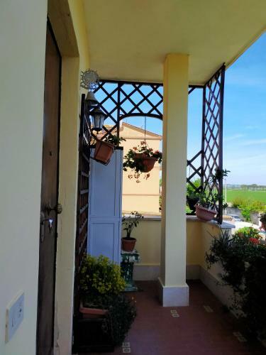 Hostal Luxury Apartment Magnolia Terrace
