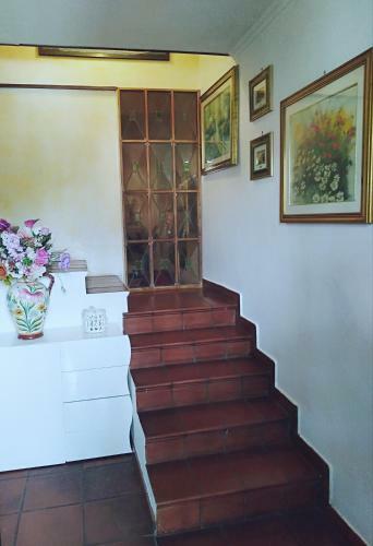 Hostal Luxury Apartment Magnolia Terrace