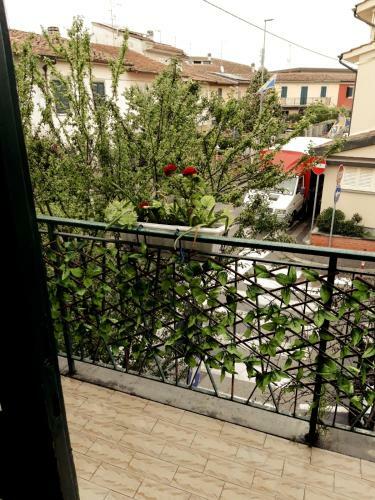 Hostal Casa Max