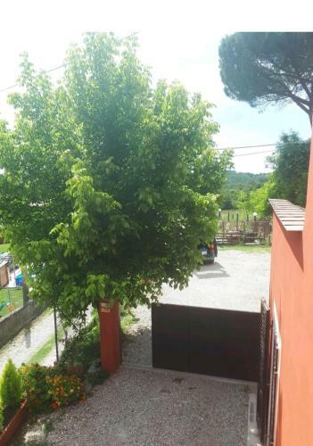 Hostal L'arca Affittacamere