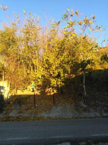 Bed & Breakfast I Quattro Gatti