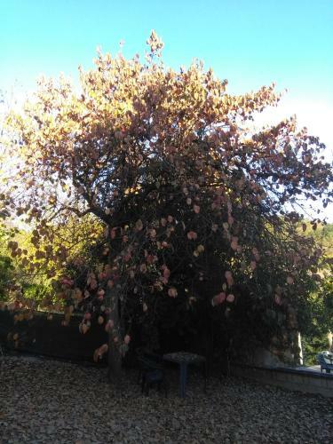 Bed & Breakfast I Quattro Gatti