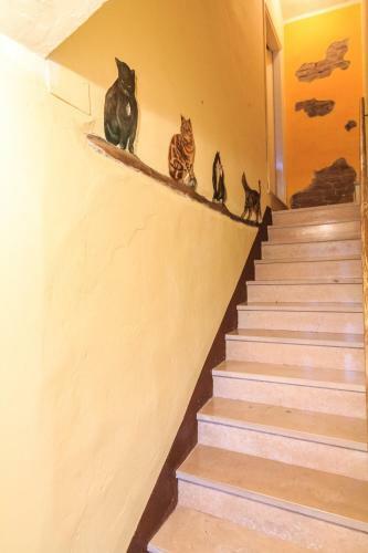 Bed & Breakfast I Quattro Gatti