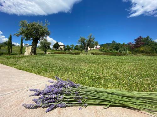 Bed & Breakfast L?oca Giuliva Relais