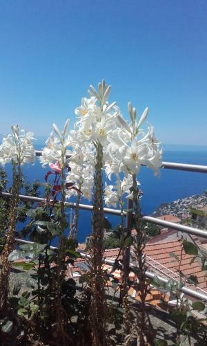 Al Geranio B&B