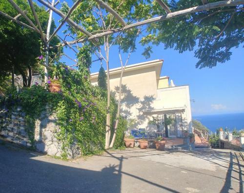 Apartamento Il Limoneto