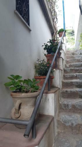 A Casa Di Nonna Nicoletta