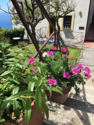 Villa L' Eco Dell' 800