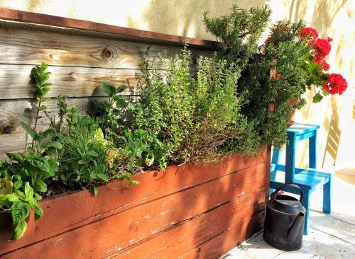 Apartamento Casa Marola