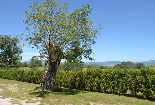 Hostal Al Bosco Delle Api