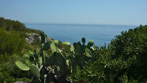 Apartamento Residenza Wild Salento