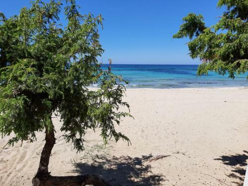 Apartamento Confortevole E Luminoso Appartamento Zona Gallipoli