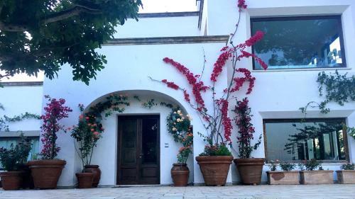 Bed & Breakfast Tenuta Donnanna