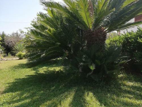 Salento Country House